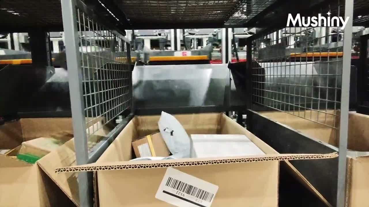 An item landing in the carton for the order it belongs to on a Mushiny 3D Sorter MAX